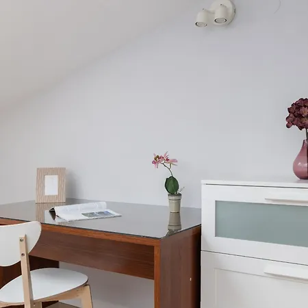 With 2 Bedrooms And Desks In The Center Of Cracow By Renters Apartment *